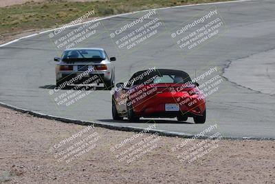 media/Mar-04-2023-West Coast Racing (Sat) [[a3f8e4c156]]/Green/Back Shots/